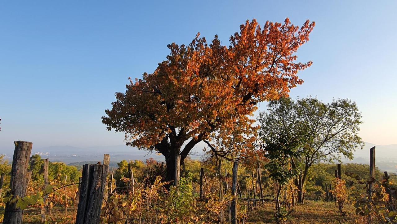 Sárkányles Vendégház Kisapati Exterior foto