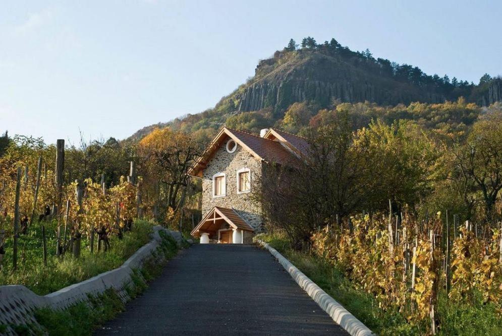 Sárkányles Vendégház Kisapati Exterior foto