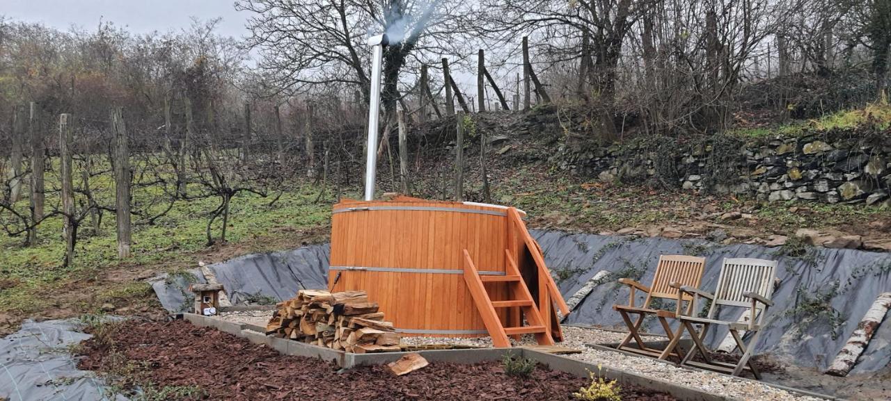 Sárkányles Vendégház Kisapati Exterior foto